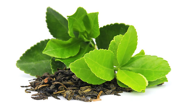 Is a Novel Ointment Derived from Green Tea Effective in Treating Warts in Children?